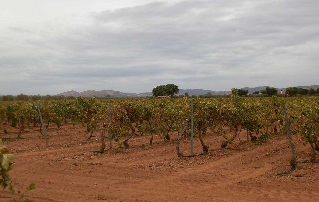 583_fincas-en-venta-091