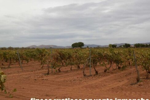 583_fincas-en-venta-091