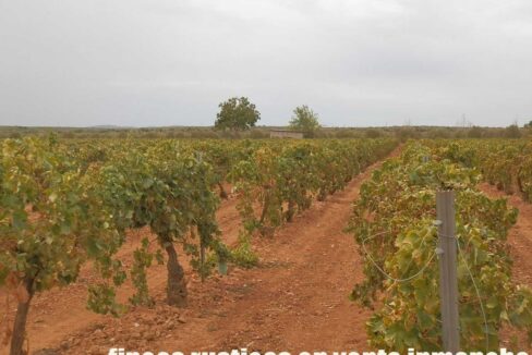 583_fincas-en-venta-092