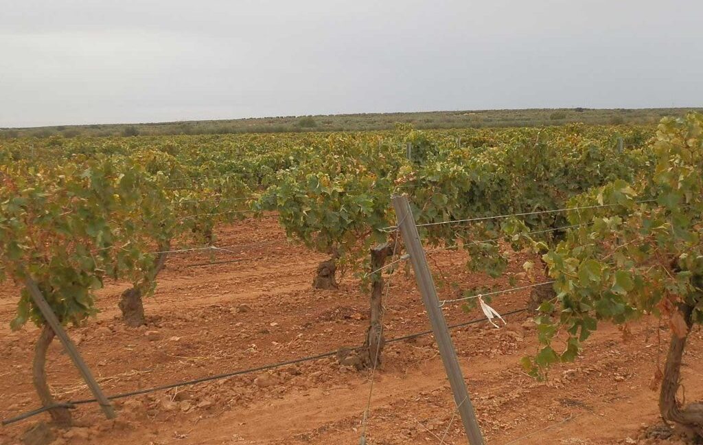 583_fincas-en-venta-093