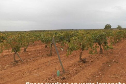 583_fincas-en-venta-094