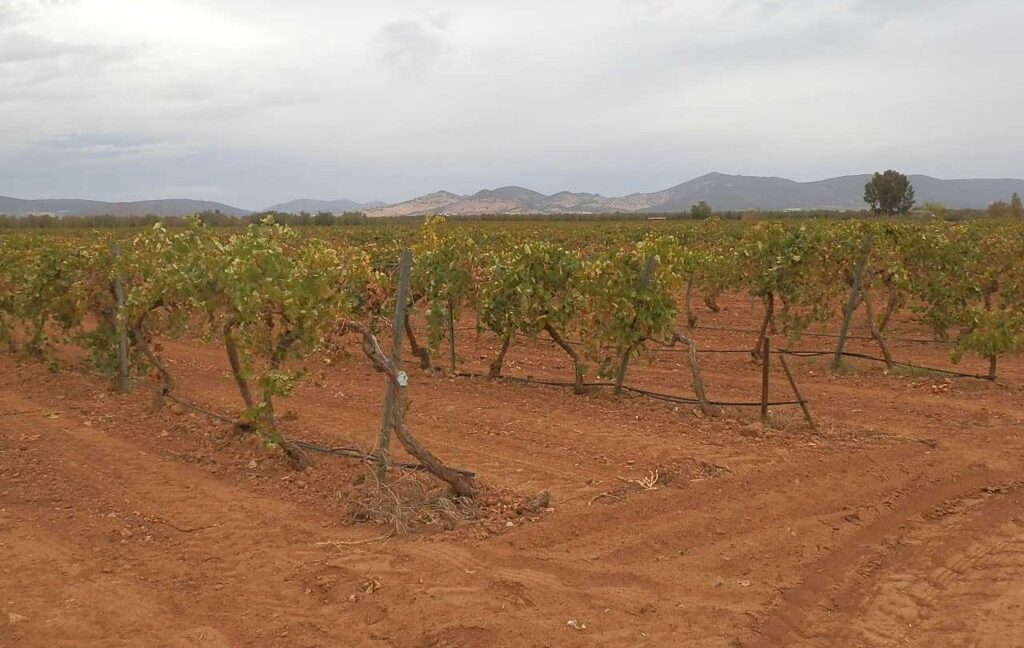 583_fincas-en-venta-095