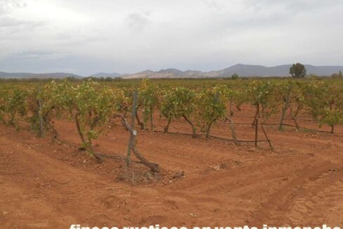 583_fincas-en-venta-095
