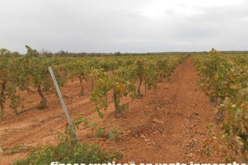 583_fincas-en-venta-097