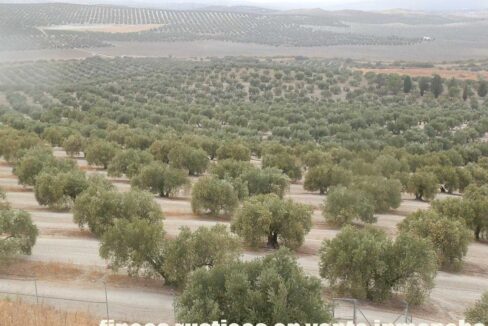 584_fincas-en-venta-11