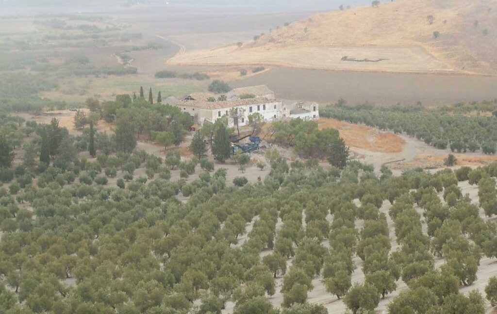 584_fincas-en-venta-12