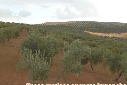 584_fincas-en-venta-30