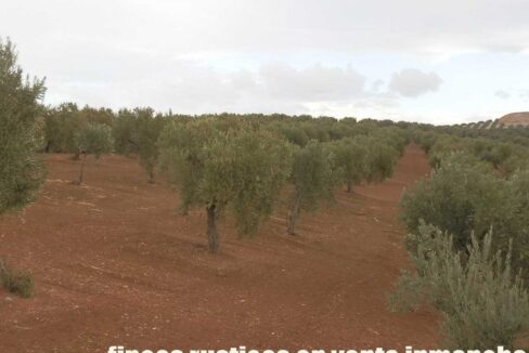 584_fincas-en-venta-31