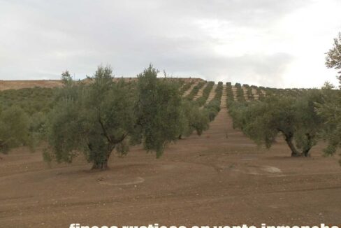 584_fincas-en-venta-33