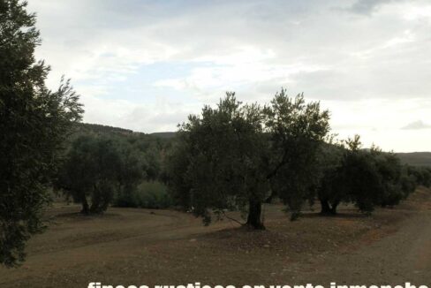 584_fincas-en-venta-35