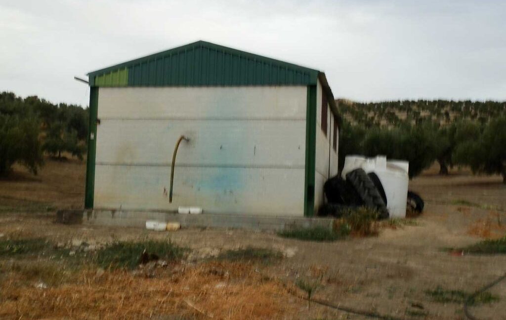 584_fincas-en-venta-36