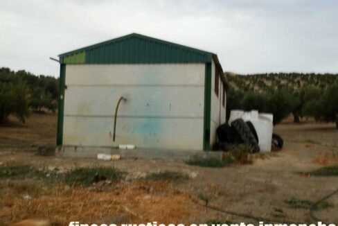 584_fincas-en-venta-36