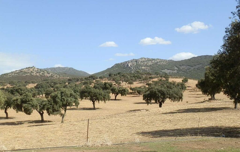 589_fincas-en-venta-02
