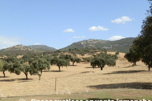 589_fincas-en-venta-02