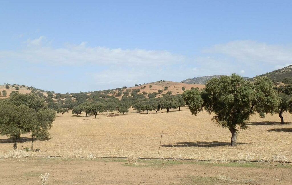 589_fincas-en-venta-03