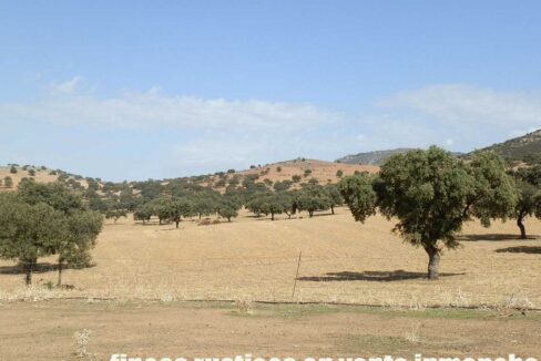 589_fincas-en-venta-03