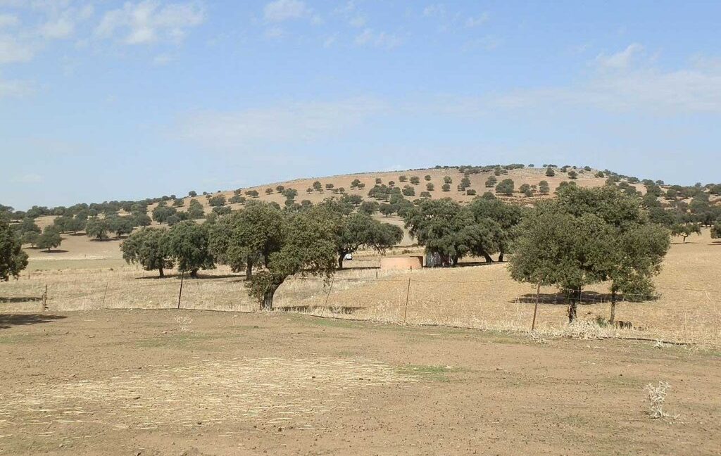 589_fincas-en-venta-04