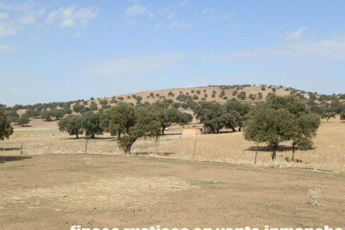 589_fincas-en-venta-04