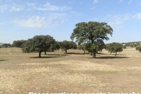 589_fincas-en-venta-05
