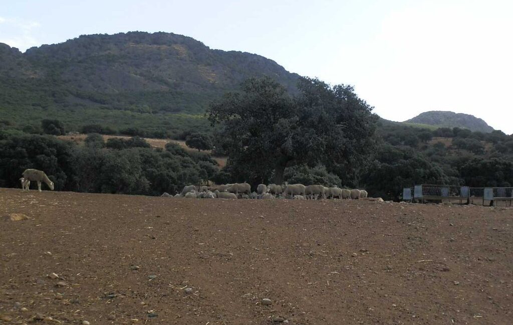589_fincas-en-venta-06