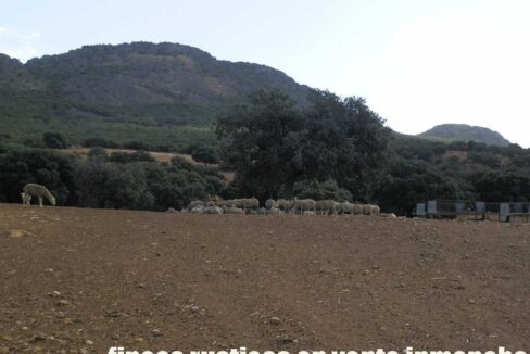589_fincas-en-venta-06