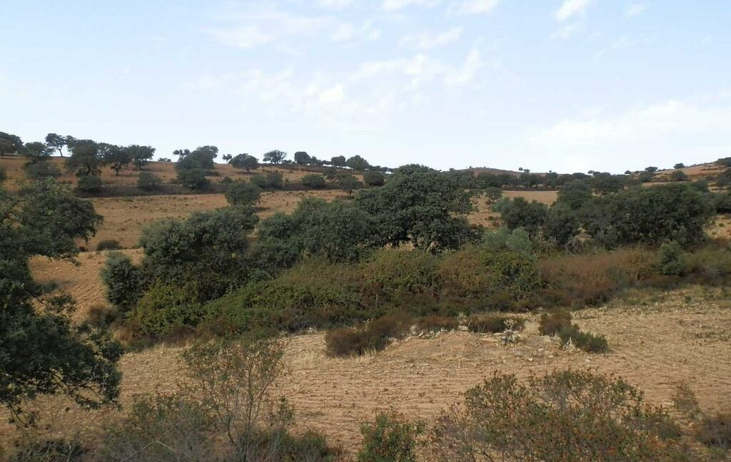 589_fincas-en-venta-07