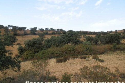 589_fincas-en-venta-07