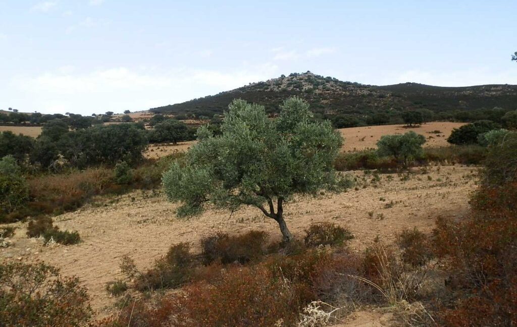 589_fincas-en-venta-08