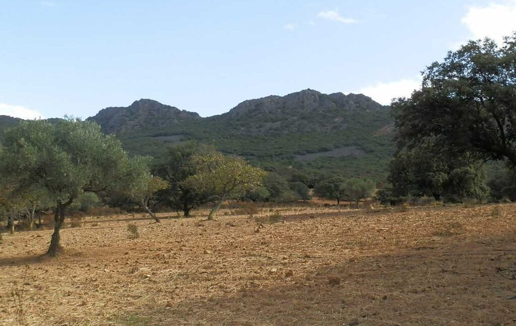 589_fincas-en-venta-09