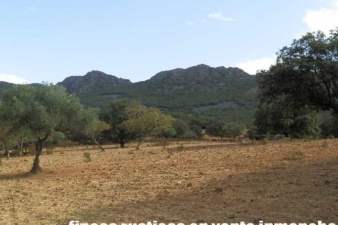 589_fincas-en-venta-09