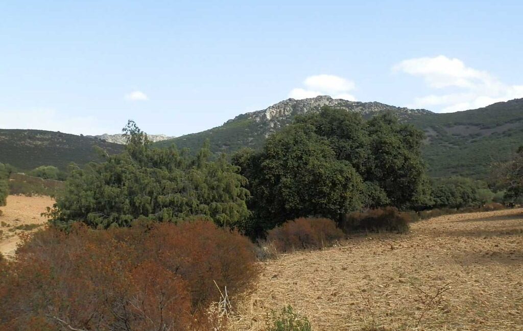 589_fincas-en-venta-10