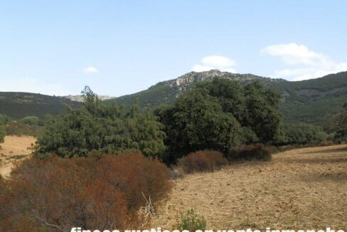 589_fincas-en-venta-10