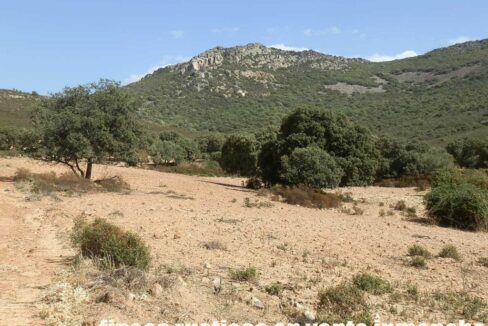 589_fincas-en-venta-11