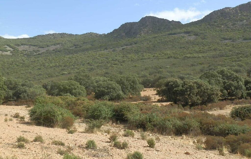 589_fincas-en-venta-12