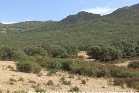 589_fincas-en-venta-12