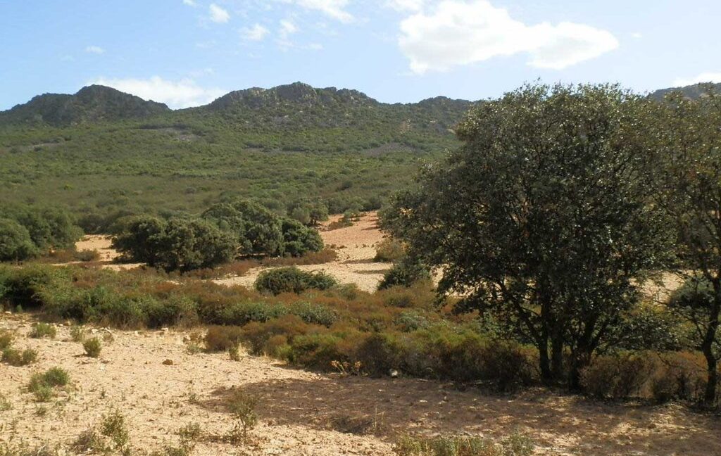 589_fincas-en-venta-13