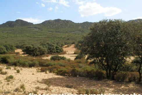 589_fincas-en-venta-13