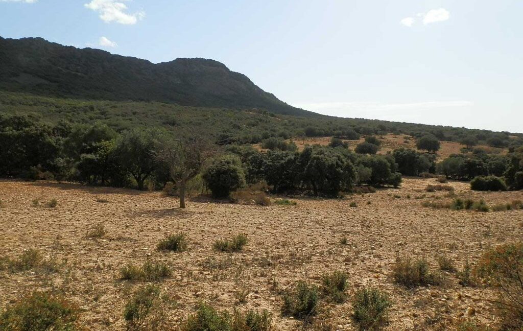 589_fincas-en-venta-14