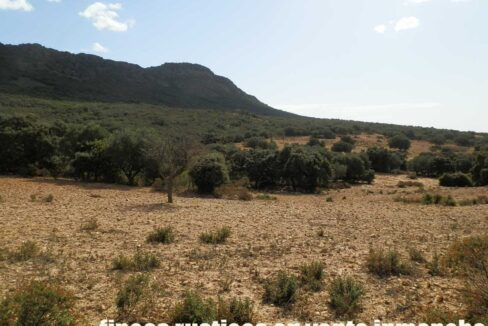 589_fincas-en-venta-14