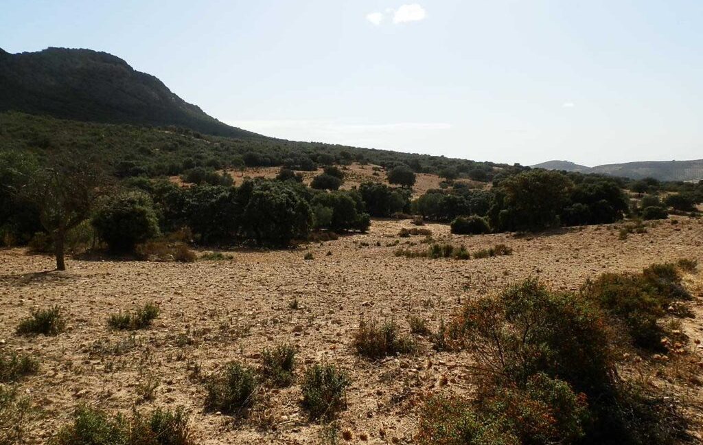 589_fincas-en-venta-15