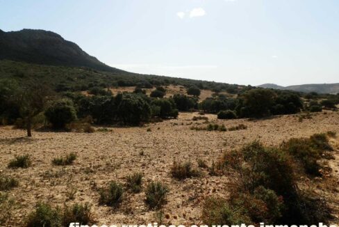 589_fincas-en-venta-15