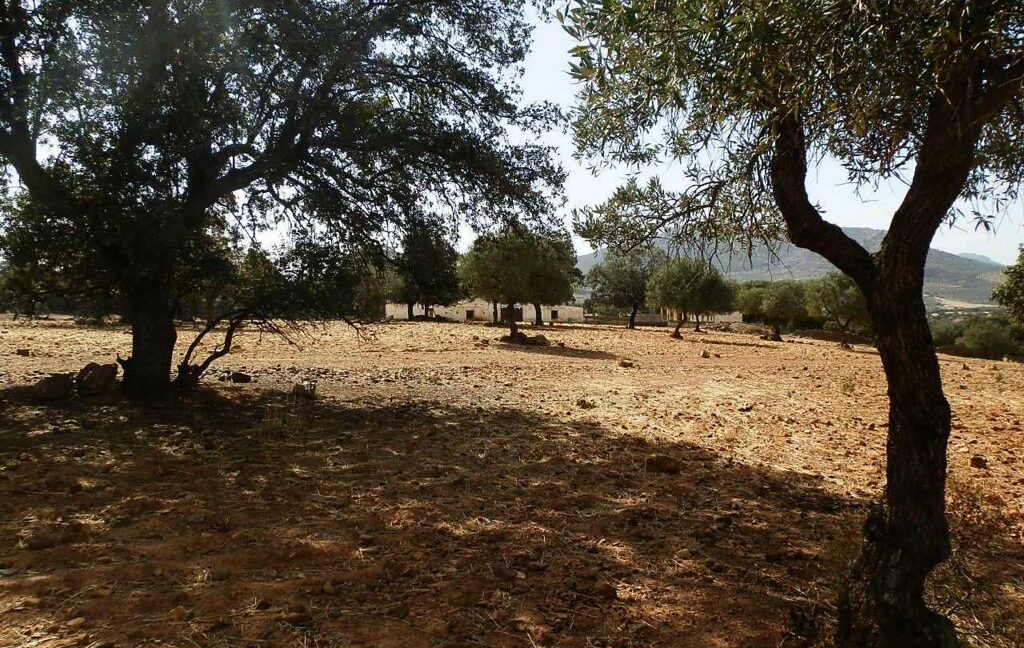 589_fincas-en-venta-16