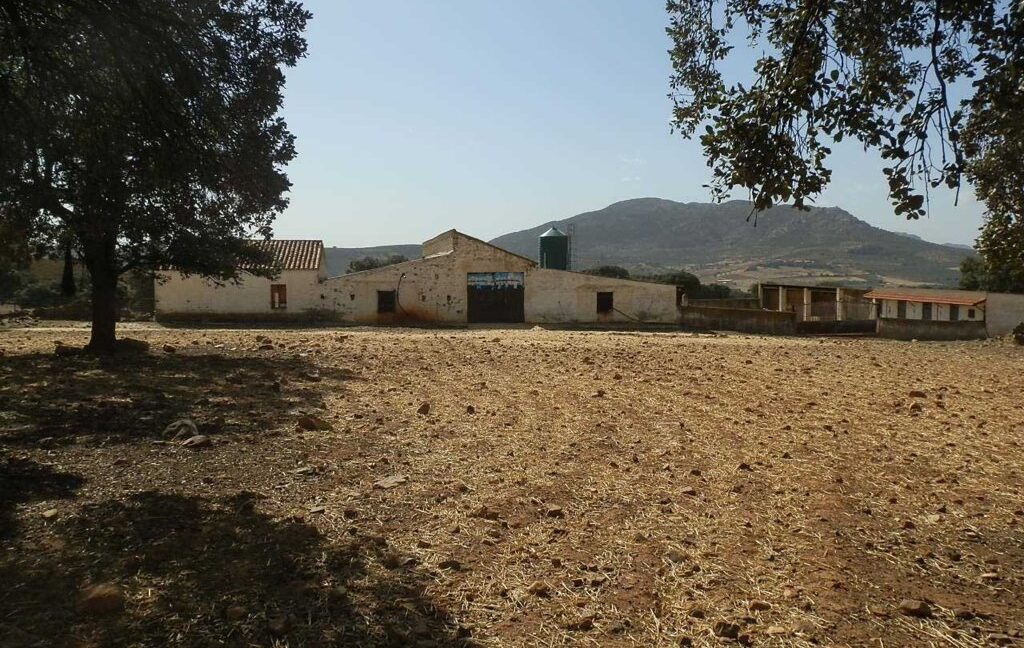 589_fincas-en-venta-17