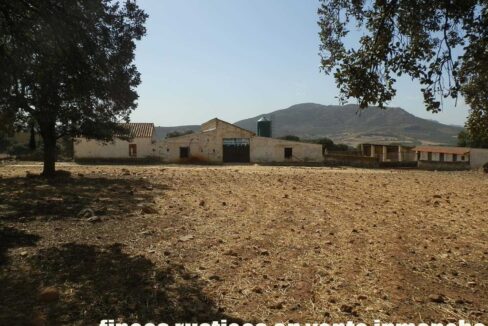 589_fincas-en-venta-17