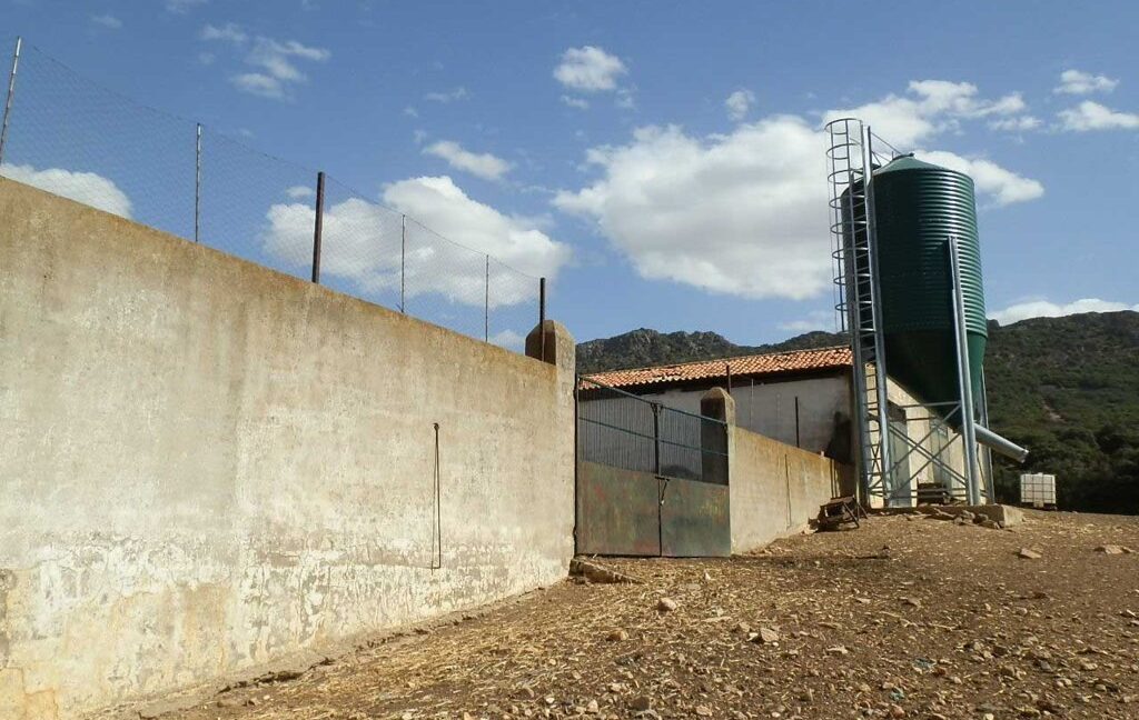 589_fincas-en-venta-18