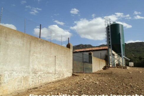589_fincas-en-venta-18