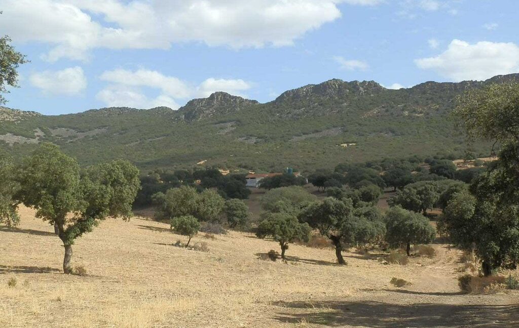589_fincas-en-venta-19