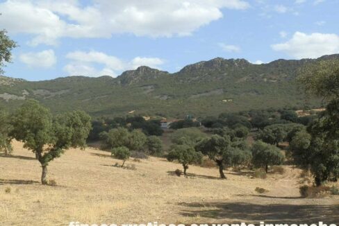 589_fincas-en-venta-19