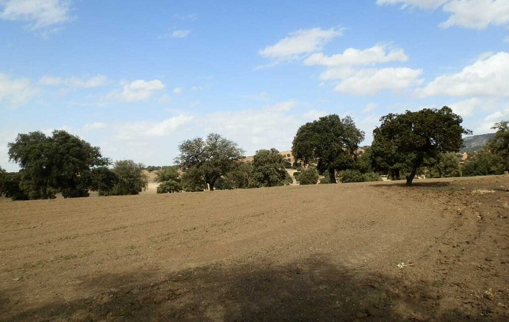 589_fincas-en-venta-26