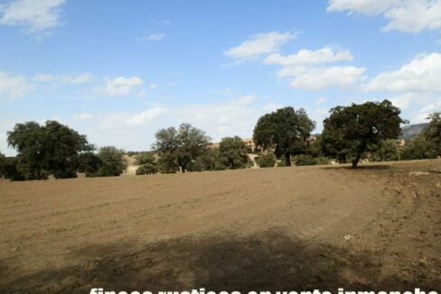 589_fincas-en-venta-26
